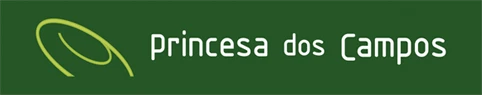 princesadoscampos.com.br
